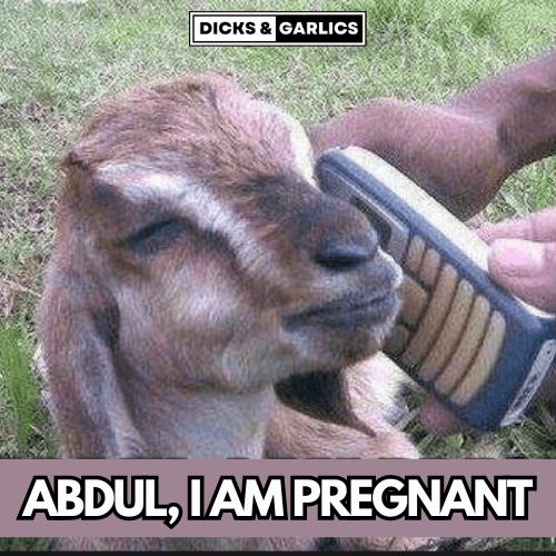Bakri said Abdul, I am pregnant after a video went viral from Pakistan News Media